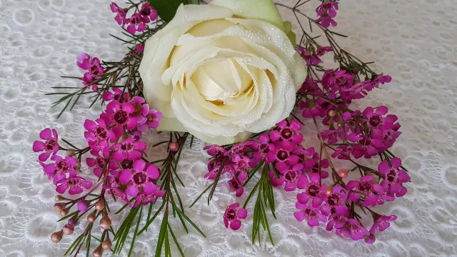 Weisse Rose (Foto: Pixabay) Weisse Rose (Foto: Pixabay)