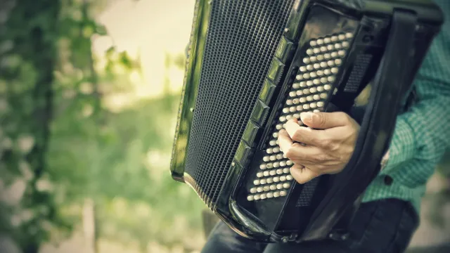 Akkordeonkonzert (Foto: pixapay) Akkordeonkonzert (Foto: pixapay)