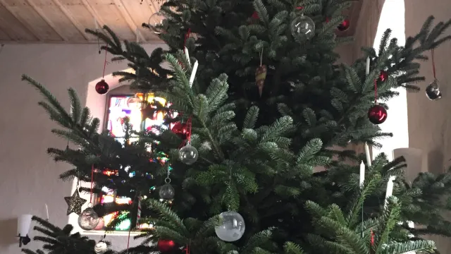 Weihnachtsbaum (Foto: Andrea Staub) Weihnachtsbaum (Foto: Andrea Staub)